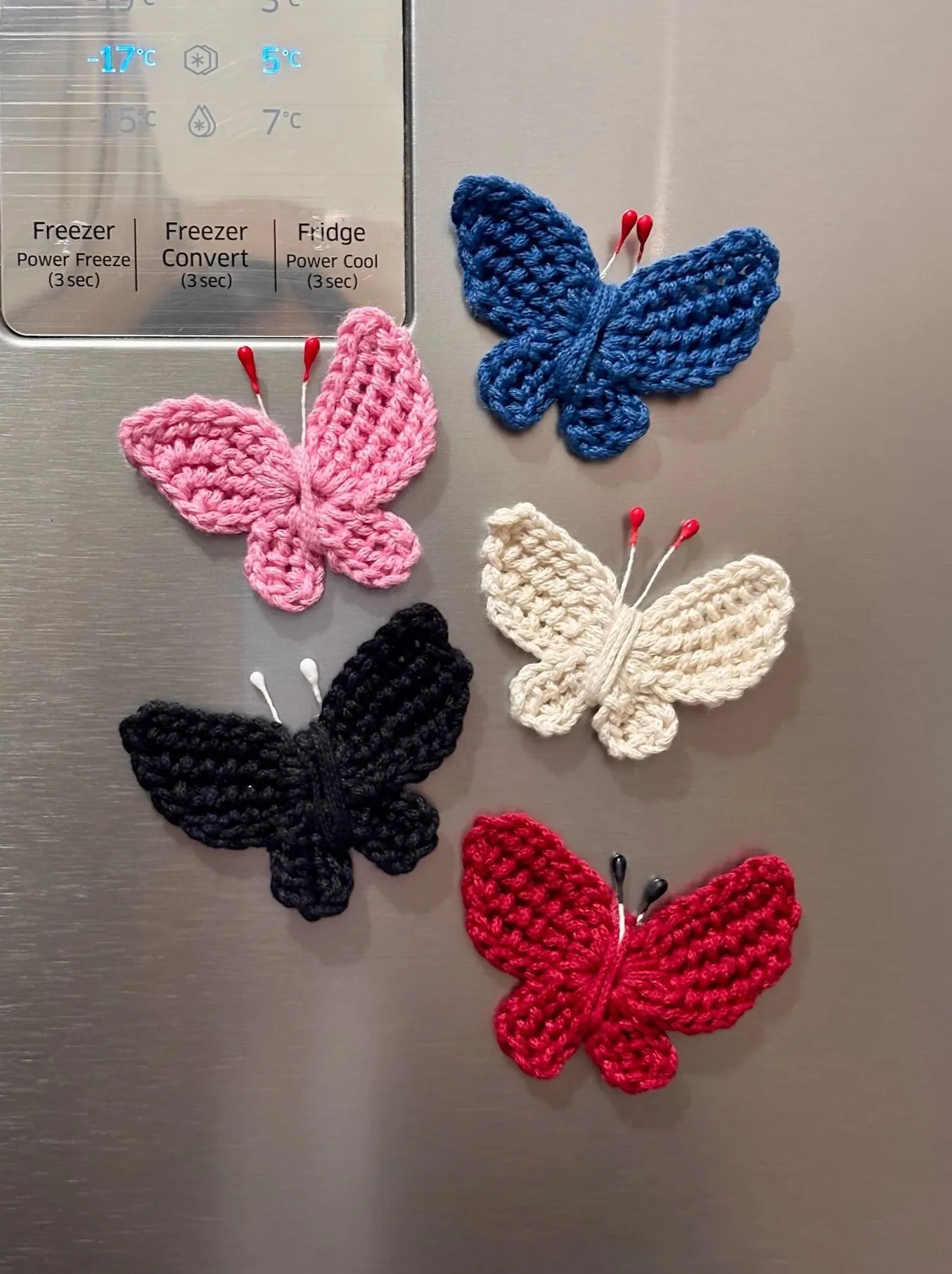 Butterfly Fridge Magnet - Set of 5