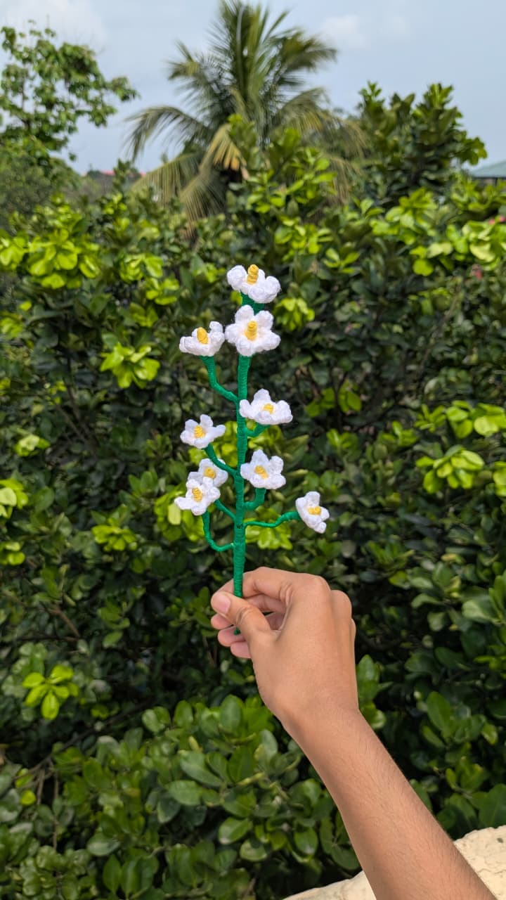 Baby's Breath