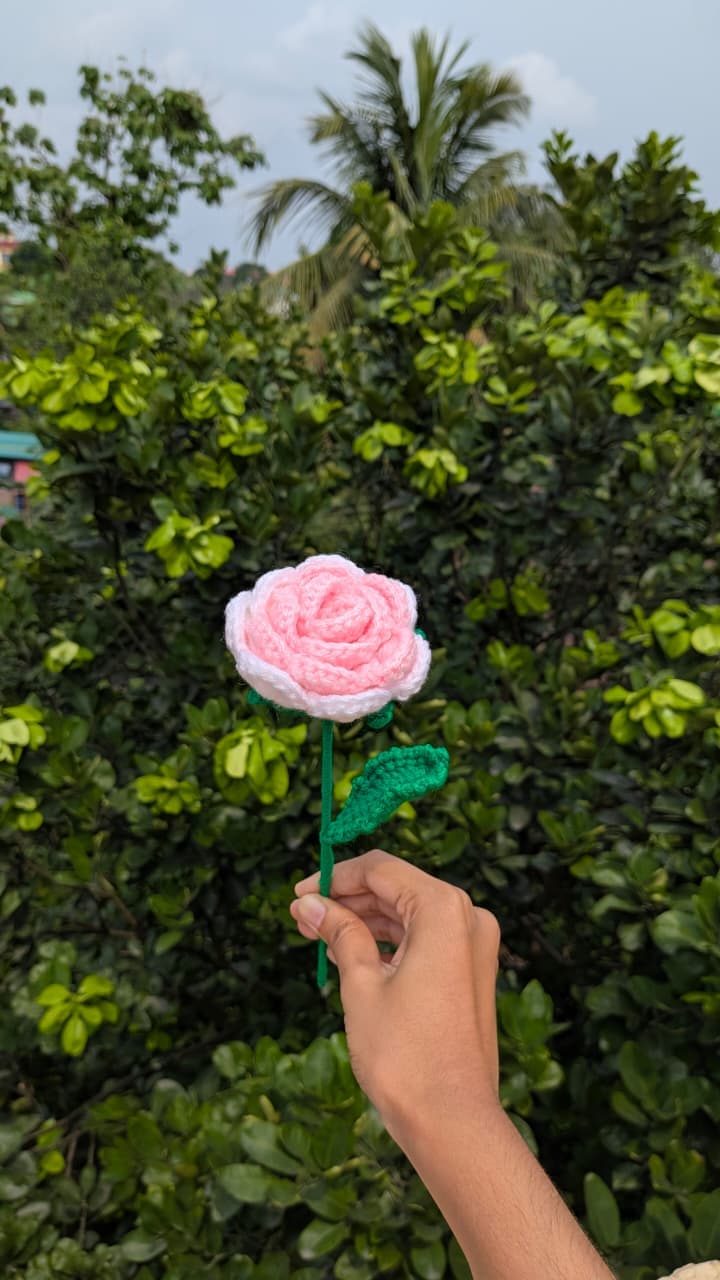 Rose Flower